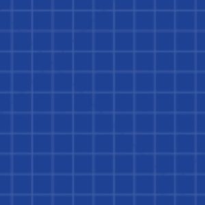 Meet your Posher, Ally